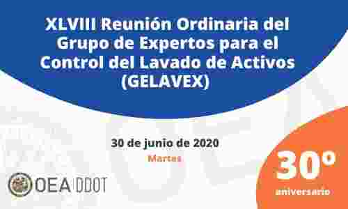 DIRECTOR UAF PARTICIPA EN LA XLVIII REUNIÓN VIRTUAL DEL GRUPO DE EXPERTOS PARA EL CONTROL DEL LAVADO DE ACTIVOS (GELAVEX)