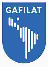 RESULTADOS DEL XLV PLENO DE REPRESENTANTES DEL GAFILAT
